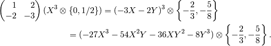 \mtwo{\hfill 1}{\hfill 2}{-2}{-3} (X^3 \tensor \{0,1/2\}) &=
(-3X - 2Y)^3 \tensor\left\{-\frac{2}{3},  -\frac{5}{8}\right\} \\
&\hspace{-4em}= (-27X^3 - 54X^2Y - 36XY^2 - 8Y^3)\tensor \left\{-\frac{2}{3},  -\frac{5}{8}\right\}.