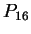 $\displaystyle P_{16}$